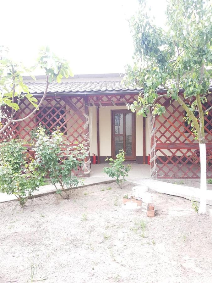 Casa Carter Sfântu Gheorghe Exterior foto